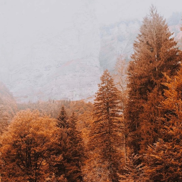 🖱️WELCOME🖱️ - Picture 5 of 7